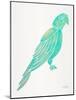 Turquoise Perched Parrot-Cat Coquillette-Mounted Art Print