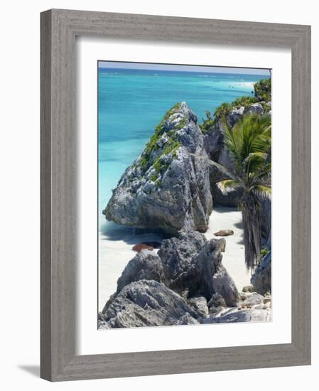 Turquoise Sea and Beach in Tulum, Riviera Maya, Quintana Roo, Mexico-Demetrio Carrasco-Framed Photographic Print