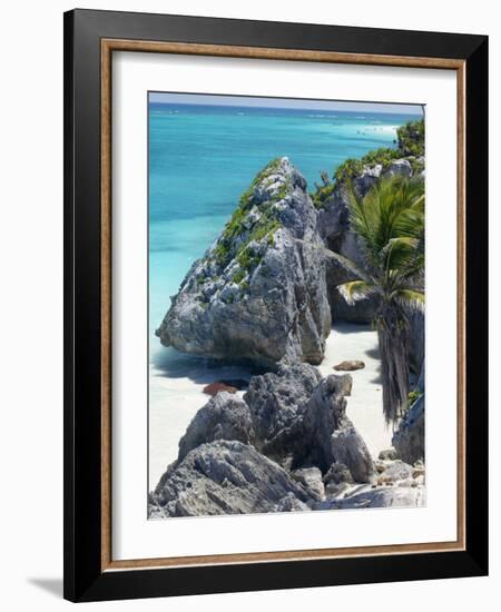 Turquoise Sea and Beach in Tulum, Riviera Maya, Quintana Roo, Mexico-Demetrio Carrasco-Framed Photographic Print