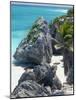 Turquoise Sea and Beach in Tulum, Riviera Maya, Quintana Roo, Mexico-Demetrio Carrasco-Mounted Photographic Print