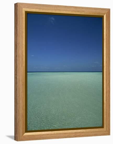 Turquoise Sea and Blue Sky, Seascape in the Maldives, Indian Ocean-Fraser Hall-Framed Premier Image Canvas