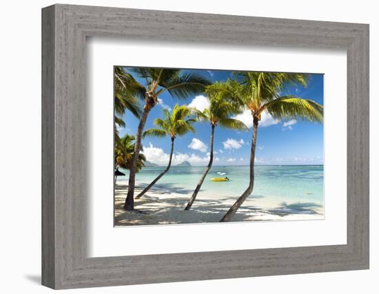 Turquoise Sea and White Palm Fringed Beach at Wolmar, Black River, Mauritius, Indian Ocean, Africa-Jordan Banks-Framed Photographic Print
