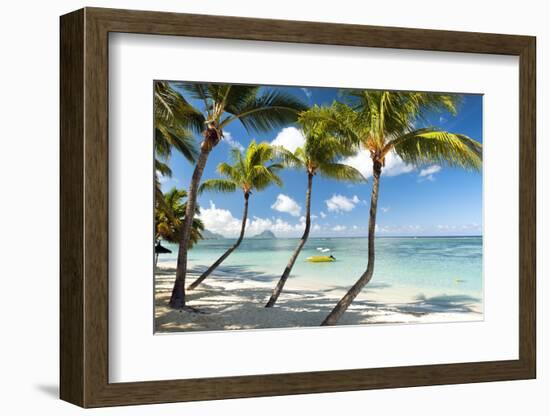 Turquoise Sea and White Palm Fringed Beach at Wolmar, Black River, Mauritius, Indian Ocean, Africa-Jordan Banks-Framed Photographic Print