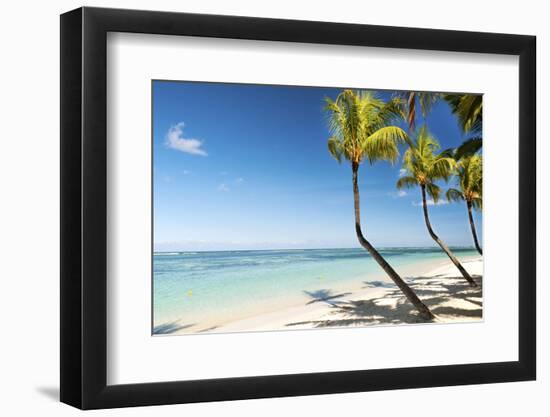 Turquoise Sea and White Palm Fringed Beach at Wolmar, Black River, Mauritius, Indian Ocean, Africa-Jordan Banks-Framed Photographic Print