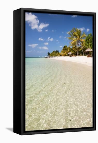 Turquoise Sea and White Palm Fringed Beach, Le Morne, Black River, Mauritius, Indian Ocean, Africa-Jordan Banks-Framed Premier Image Canvas