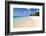 Turquoise Sea and White Palm Fringed Beach, Le Morne, Black River, Mauritius, Indian Ocean, Africa-Jordan Banks-Framed Photographic Print