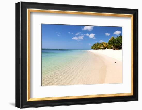 Turquoise Sea and White Palm Fringed Beach, Le Morne, Black River, Mauritius, Indian Ocean, Africa-Jordan Banks-Framed Photographic Print