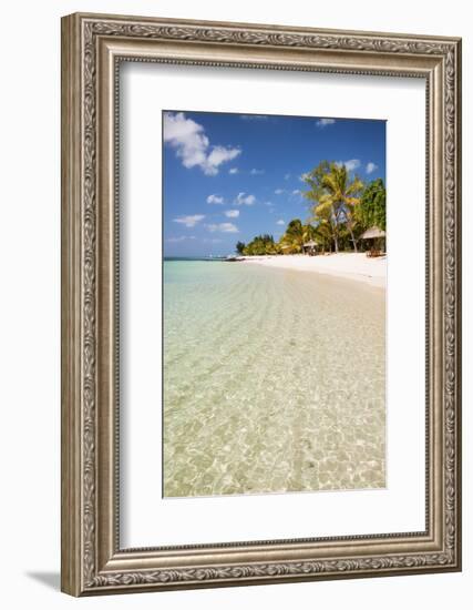 Turquoise Sea and White Palm Fringed Beach, Le Morne, Black River, Mauritius, Indian Ocean, Africa-Jordan Banks-Framed Photographic Print