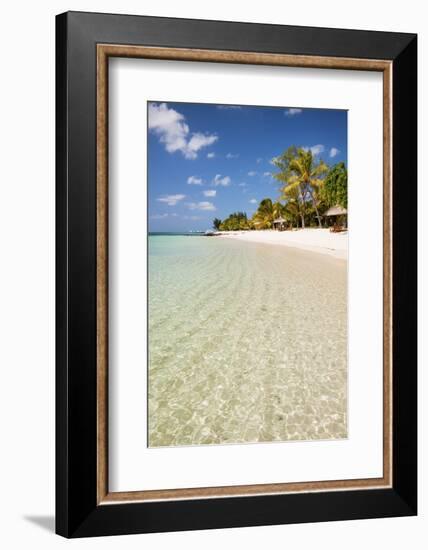 Turquoise Sea and White Palm Fringed Beach, Le Morne, Black River, Mauritius, Indian Ocean, Africa-Jordan Banks-Framed Photographic Print