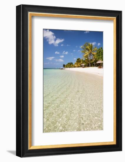 Turquoise Sea and White Palm Fringed Beach, Le Morne, Black River, Mauritius, Indian Ocean, Africa-Jordan Banks-Framed Photographic Print