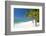 Turquoise Sea and White Palm Fringed Beach, Le Morne, Black River, Mauritius, Indian Ocean, Africa-Jordan Banks-Framed Photographic Print