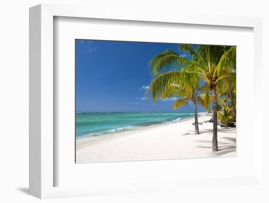 Turquoise Sea and White Palm Fringed Beach, Le Morne, Black River, Mauritius, Indian Ocean, Africa-Jordan Banks-Framed Photographic Print