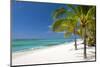 Turquoise Sea and White Palm Fringed Beach, Le Morne, Black River, Mauritius, Indian Ocean, Africa-Jordan Banks-Mounted Photographic Print