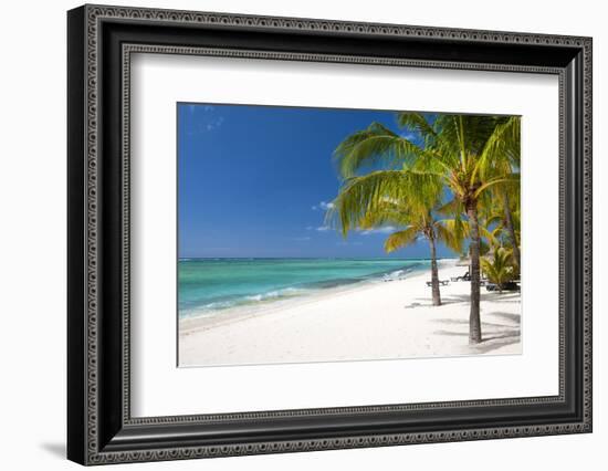 Turquoise Sea and White Palm Fringed Beach, Le Morne, Black River, Mauritius, Indian Ocean, Africa-Jordan Banks-Framed Photographic Print