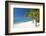 Turquoise Sea and White Palm Fringed Beach, Le Morne, Black River, Mauritius, Indian Ocean, Africa-Jordan Banks-Framed Photographic Print