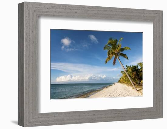 Turquoise Sea and White Palm Fringed Beach, Le Morne, Black River, Mauritius, Indian Ocean, Africa-Jordan Banks-Framed Photographic Print