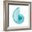 Turquoise Sea Shell-Albert Koetsier-Framed Art Print
