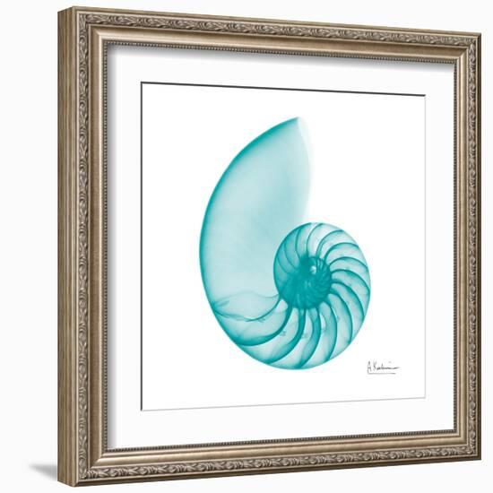 Turquoise Sea Shell-Albert Koetsier-Framed Art Print