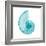 Turquoise Sea Shell-Albert Koetsier-Framed Art Print