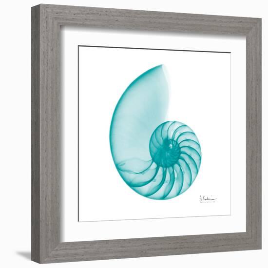 Turquoise Sea Shell-Albert Koetsier-Framed Art Print