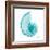 Turquoise Sea Shell-Albert Koetsier-Framed Art Print