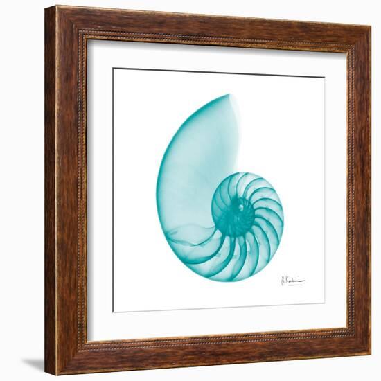 Turquoise Sea Shell-Albert Koetsier-Framed Art Print