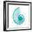 Turquoise Sea Shell-Albert Koetsier-Framed Art Print