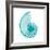 Turquoise Sea Shell-Albert Koetsier-Framed Art Print