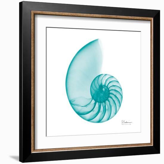 Turquoise Sea Shell-Albert Koetsier-Framed Art Print