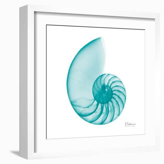 Turquoise Sea Shell-Albert Koetsier-Framed Art Print