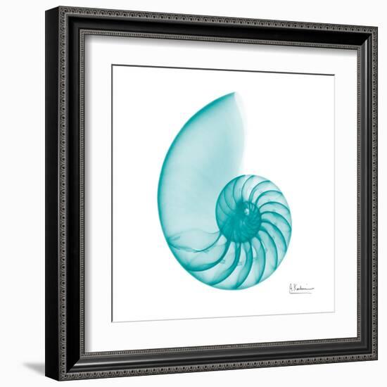 Turquoise Sea Shell-Albert Koetsier-Framed Art Print