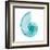 Turquoise Sea Shell-Albert Koetsier-Framed Art Print