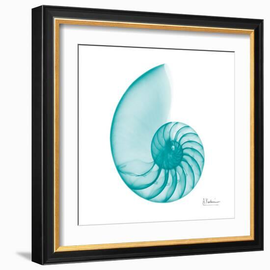 Turquoise Sea Shell-Albert Koetsier-Framed Art Print