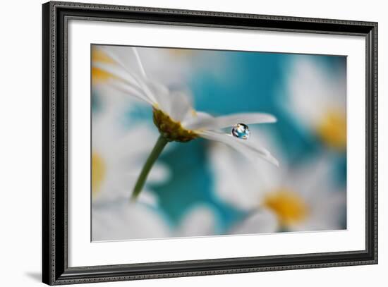 Turquoise Summer-Heidi Westum-Framed Photographic Print