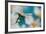 Turquoise Summer-Heidi Westum-Framed Photographic Print