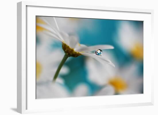 Turquoise Summer-Heidi Westum-Framed Photographic Print