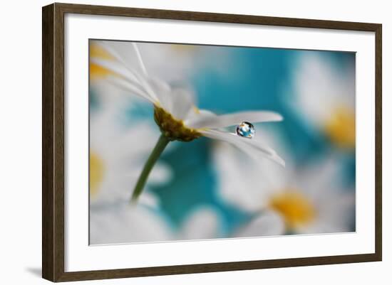 Turquoise Summer-Heidi Westum-Framed Photographic Print