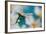 Turquoise Summer-Heidi Westum-Framed Photographic Print