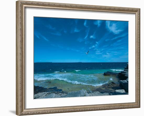 Turquoise Tide-Mike Toy-Framed Giclee Print