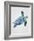 Turquoise Turtle-Tania Bello-Framed Giclee Print