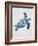 Turquoise Turtle-Tania Bello-Framed Giclee Print