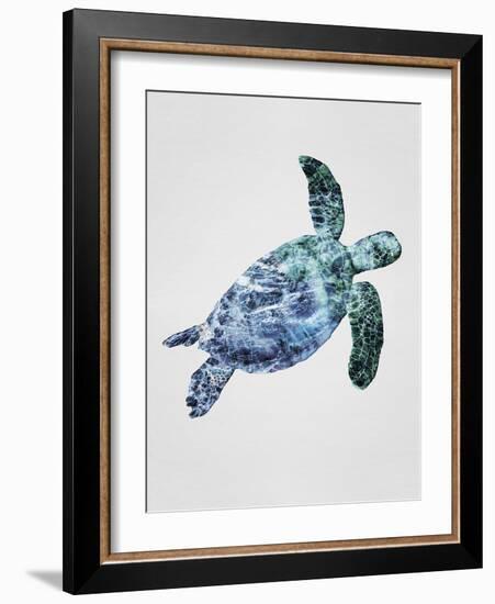 Turquoise Turtle-Tania Bello-Framed Giclee Print