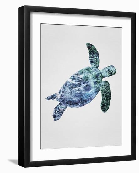 Turquoise Turtle-Tania Bello-Framed Giclee Print