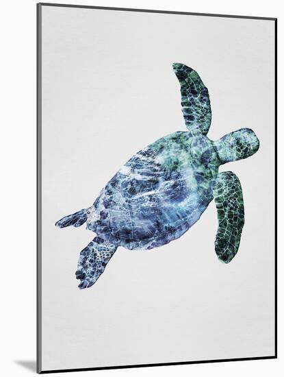 Turquoise Turtle-Tania Bello-Mounted Giclee Print