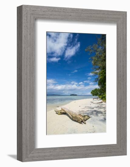 Turquoise water and a white beach on Christmas Island, Buka, Bougainville, Papua New Guinea, Pacifi-Michael Runkel-Framed Photographic Print