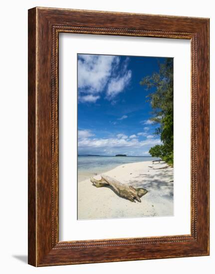 Turquoise water and a white beach on Christmas Island, Buka, Bougainville, Papua New Guinea, Pacifi-Michael Runkel-Framed Photographic Print