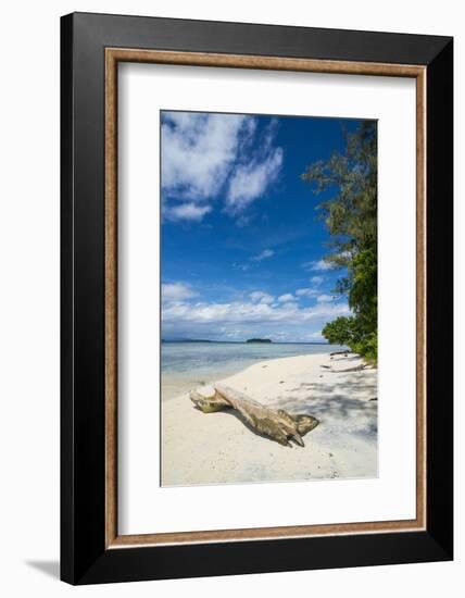 Turquoise water and a white beach on Christmas Island, Buka, Bougainville, Papua New Guinea, Pacifi-Michael Runkel-Framed Photographic Print