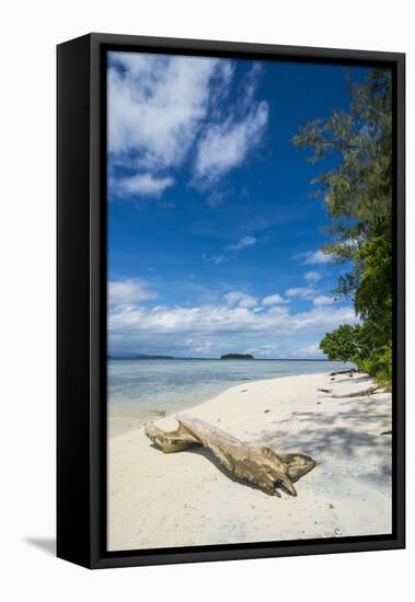 Turquoise water and a white beach on Christmas Island, Buka, Bougainville, Papua New Guinea, Pacifi-Michael Runkel-Framed Premier Image Canvas