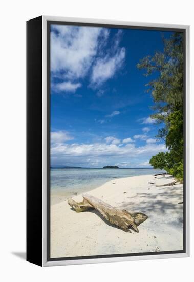 Turquoise water and a white beach on Christmas Island, Buka, Bougainville, Papua New Guinea, Pacifi-Michael Runkel-Framed Premier Image Canvas