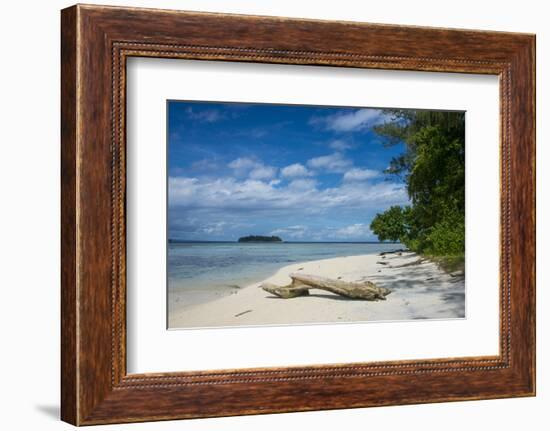 Turquoise water and a white beach on Christmas Island, Buka, Bougainville, Papua New Guinea, Pacifi-Michael Runkel-Framed Photographic Print